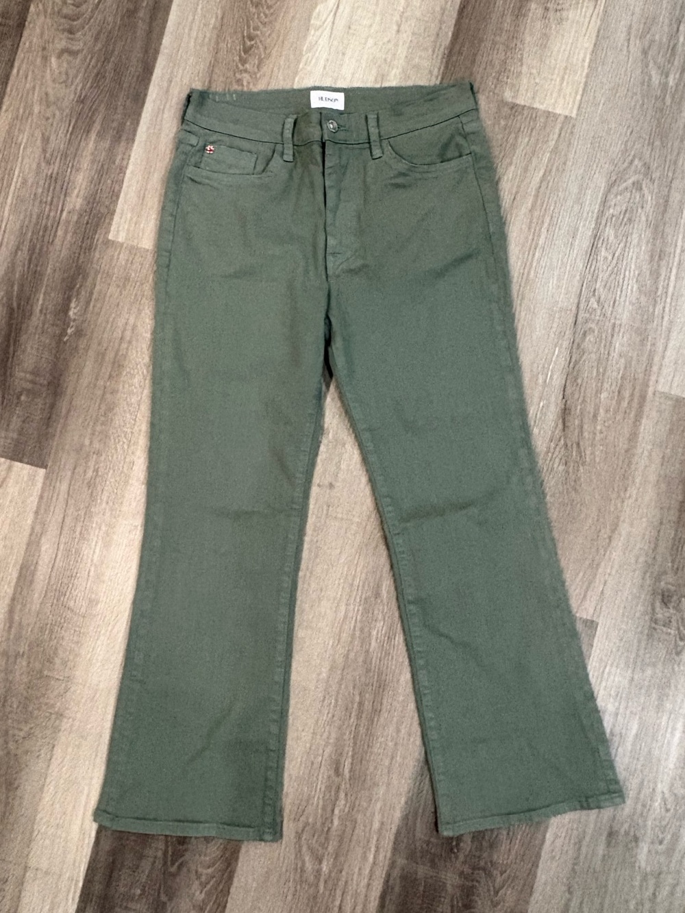Hudson Jeans Womens Sz 29 Sage Green Blair Stretch Cotton Blend Casual Pants
